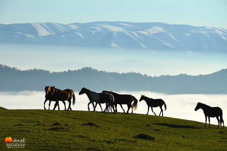 Dilijan National Park tours and off roading