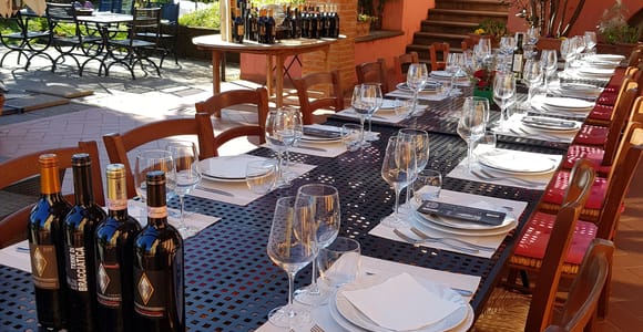 Florence: Wine Tasting at a Vineyard With a Local Winemaker