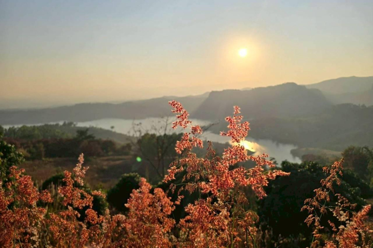 Da Chiang Rai a Chiang Mai: tour panoramico privatoDa Chiang Rai a Chiang Mai: tour privato con trasferimento panoramico