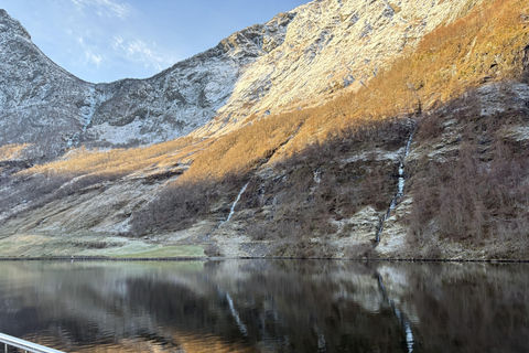 Bergen: Stegastein, Viking Village, Flåm & Nærøyfjord Cruise