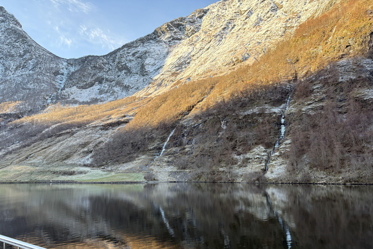 Bergen: Stegastein, Viking Village, Flåm & Nærøyfjord Cruise