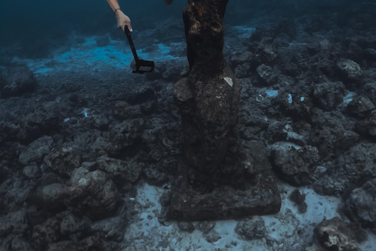 Cebu: Oslob valhajsskådning Canyoneering privat upphämtning