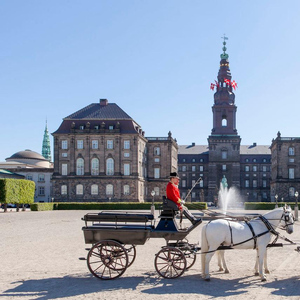 Copenhagen: Christiansborg Palace Entry Ticket