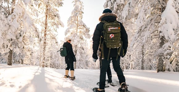 Rovaniemi: Snowshoeing in the Arctic Wilderness