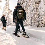 Rovaniemi : Randonnée en raquettes dans la nature arctique