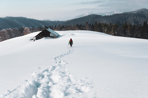 Von Tiflis aus: 2-tägiges Abenteuer zum Gudauri und Kazbeg Berg