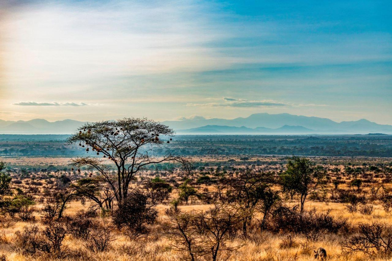 3 Days Samburu National Reserve Private safari