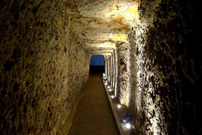 Loire Valley Wine Tour from Paris: 2 Wineries & 10 Tastings Premium Option