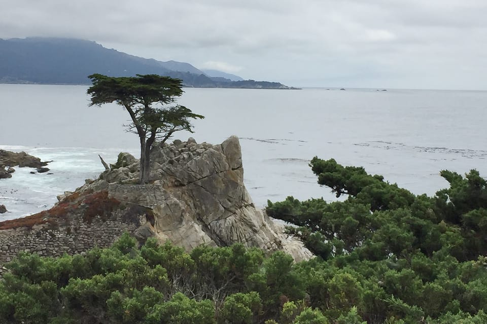 From San Francisco: Carmel, Monterey & Big Sur Private Tour image 3