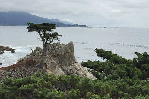 From San Francisco: Carmel, Monterey &amp; Big Sur Private Tour