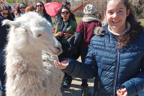 Portillo + Laguna del Inca mit Picknick