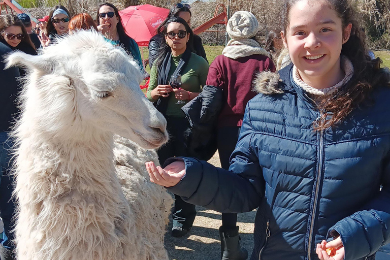 Portillo + Laguna del Inca mit Picknick