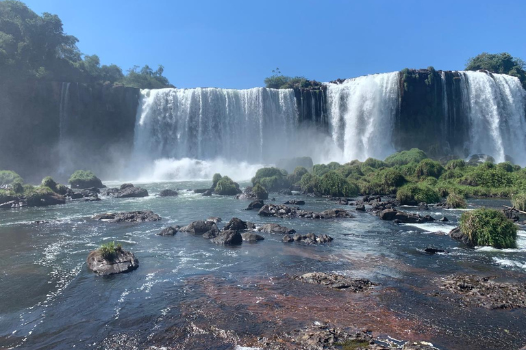 Foz do Iguaçu: Falls, Bird Park, & Three Borders Tour
