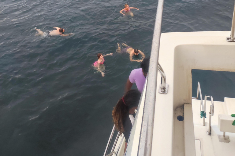 Mirissa: tour in barca con osservazione balene al tramonto e musica