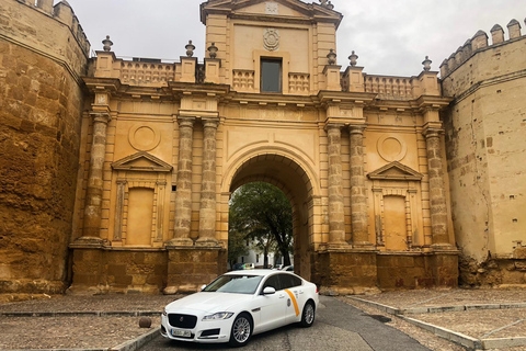 Seville: Cordoba Private & Fully Customizable Day Tour