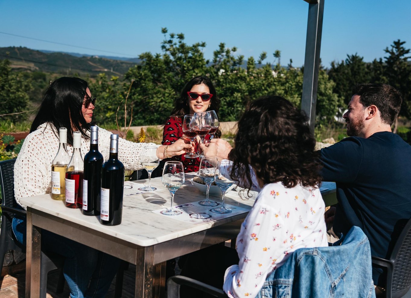 Loulé: Quinta da Tôr vingård guidet tur og vinsmagning