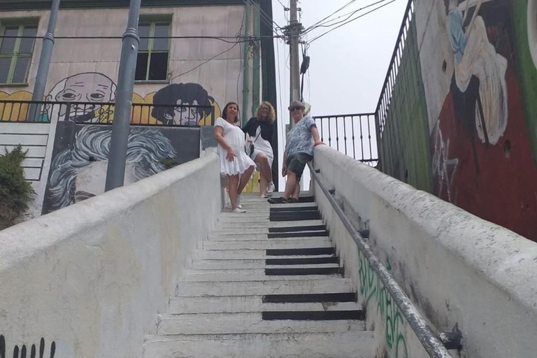 Rondleiding door straatkunstcultuur in Valparaíso en Viña del Mar