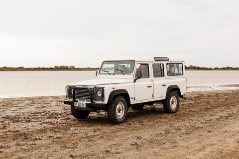 Aigues-Mortes 3H: Discover the secret Camargue in a 4x4 Full-Day