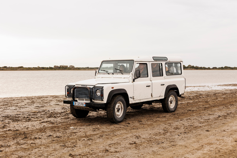 Aigues-Mortes 3H: Discover the secret Camargue in a 4x4 Full-Day