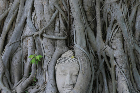 Check out the train and floating markets of Bangkok and Ayutthaya Train Market + Floating Market + Ayutthaya Historical Park