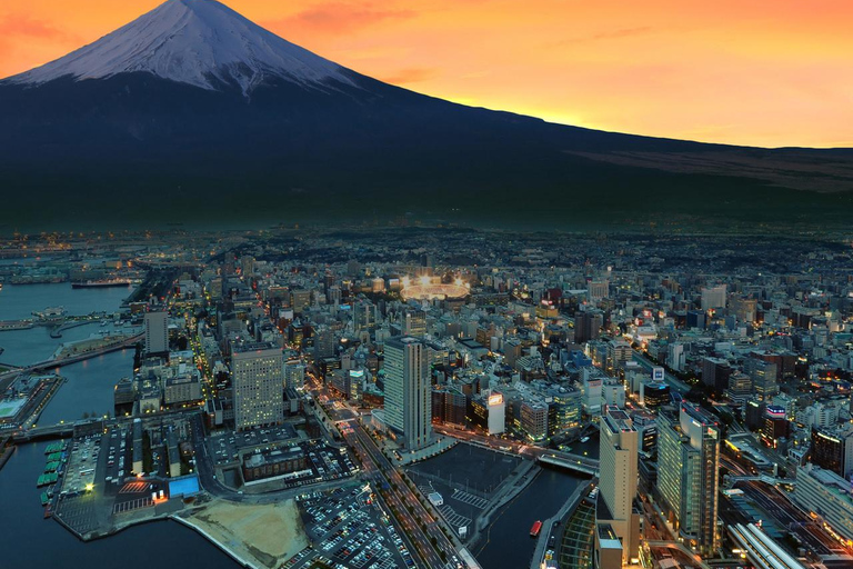 From Tokyo: Mount Fuji Private Tour With Photography & Guide