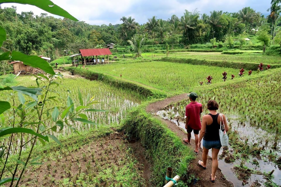 Lombok : visite à pied de Tetebatu avec forêt des singes et cascade