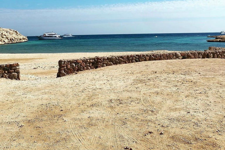 Sharm : Visite d&#039;une demi-journée de Ras Mohammed en bus et porte d&#039;Allah