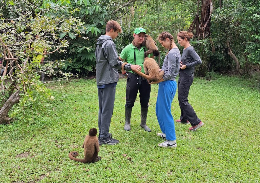 Iquitos Full Day Visit to the authentic Monkey Island GetYourGuide