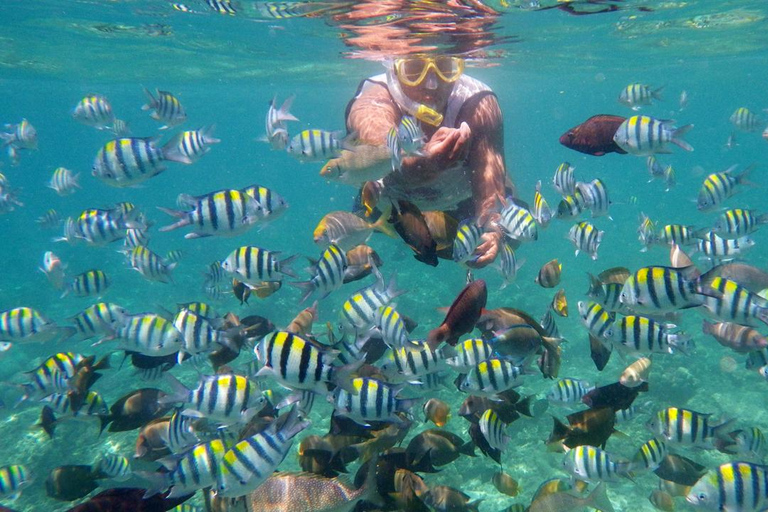 Lombok: Gili Trawangan, Meno, snorklingsresa med flygLombok: Snorklingsresa Gili Air, Meno, Trawangan