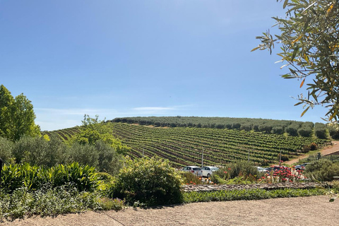 Tour particular com degustação de vinhos em Stellenbosch, Franschhoek e Paarl