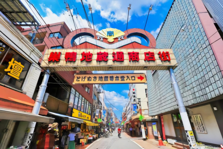 Tokyo, Mt. Fuji, Kyoto, Osaka: 7-Day Private Tour of Japan