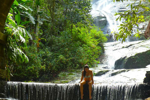 Rio de Janeiro: Zwiedzanie z przewodnikiem do Parku Narodowego Tijuca