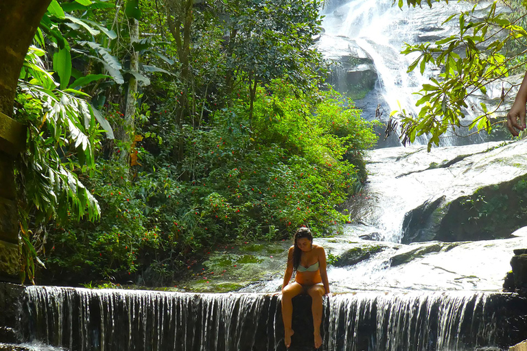Rio de Janeiro: Zwiedzanie z przewodnikiem do Parku Narodowego Tijuca