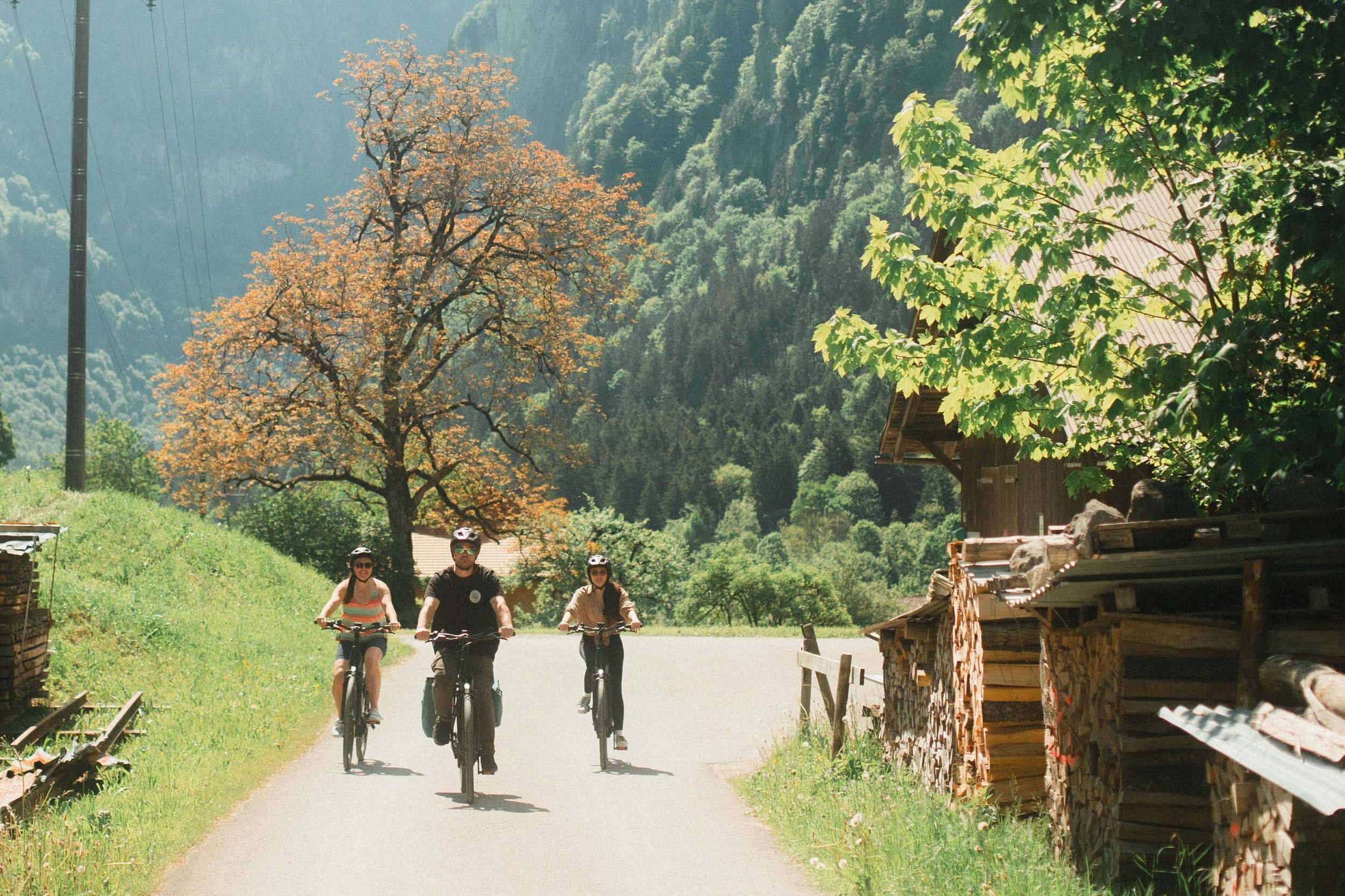 Interlaken Valley E-Bike Tour: Flüsse, Seen & Wälder