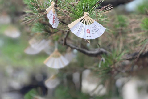 Kyoto Private Full-Day Guided Tour with customised itinerary