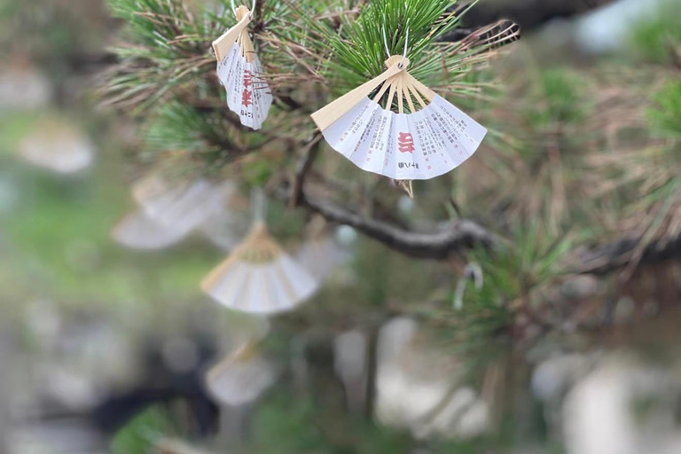 Kyoto Private Full-Day Guided Tour with customised itinerary