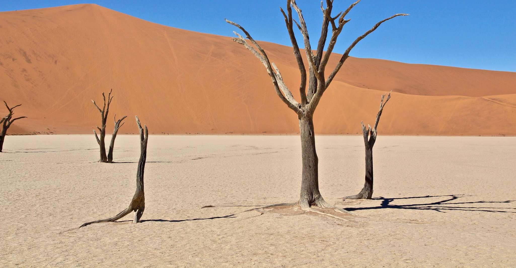 Windhoek - Windhoek, Dunes & Wildlife Safari yakınlarında yapılacak şeyler - Hizvo