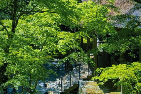 A Thousand Years in One Day: Kyoto & Nara Panoramic Tour Osaka Station