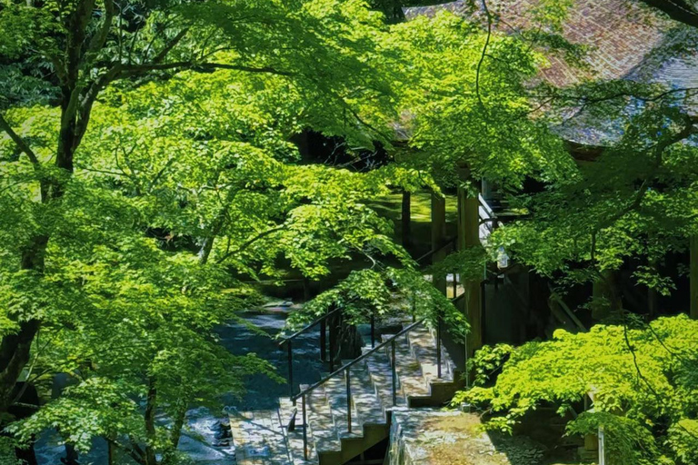 A Thousand Years in One Day: Kyoto & Nara Panoramic Tour Osaka Station