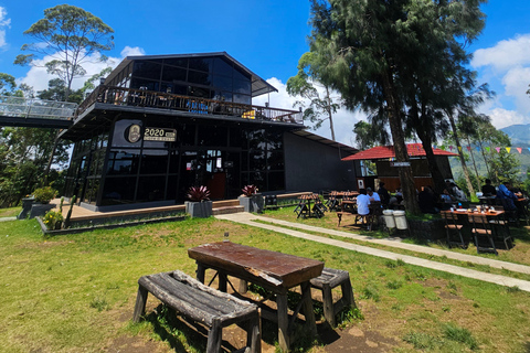 "Java Highlights: Yogyakarta to Bromo & Ijen Volcanoes"