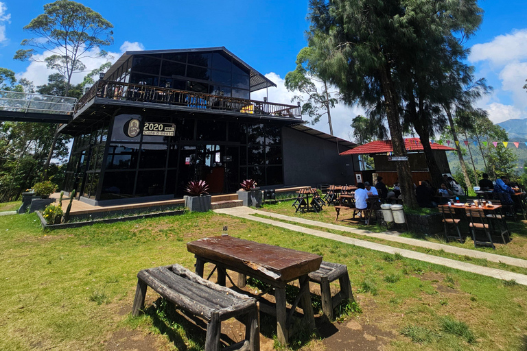 "Java Highlights: Yogyakarta to Bromo & Ijen Volcanoes"