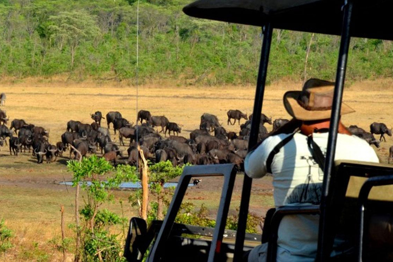 3 Days Masai Mara Flying Safari on a 4x4 Land Cruiser Jeep 3 Days Masai Mara Flying Safari - Budget Accommodation