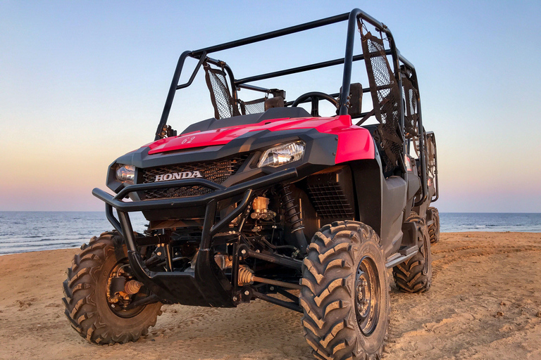 Punta Cana: Nighttime Buggy Ride, Cenote Swim and dinner