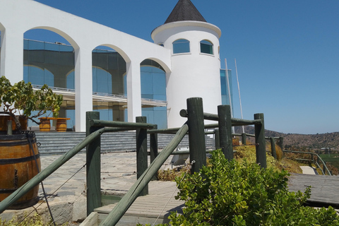 Wineries Tour in Casablanca Valley from Valparaiso Shared tour