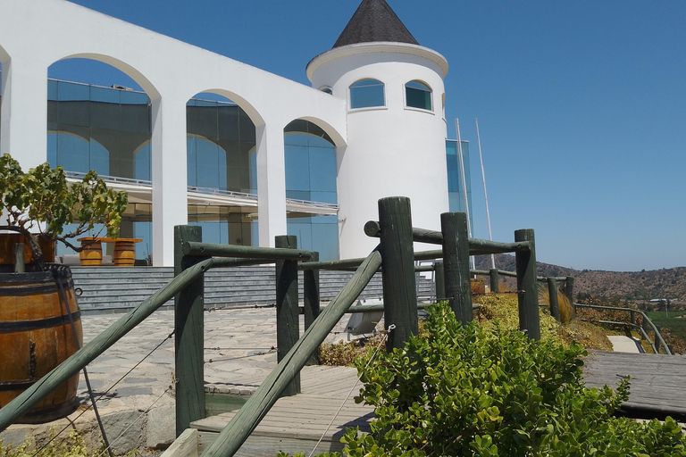 Wineries Tour in Casablanca Valley from Valparaiso Shared tour
