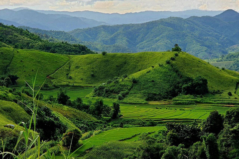 Chiang Rai: The Adventure of Trekking & Bamboo Cooking