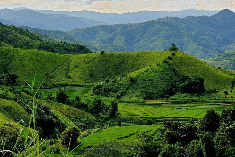 Chiang Rai: The Adventure of Trekking & Bamboo Cooking