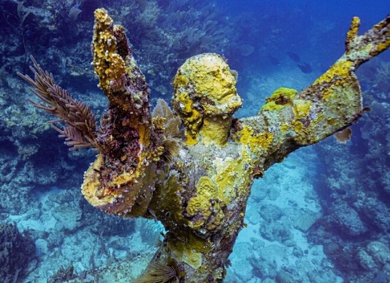 Key Largo: Snorkeltur