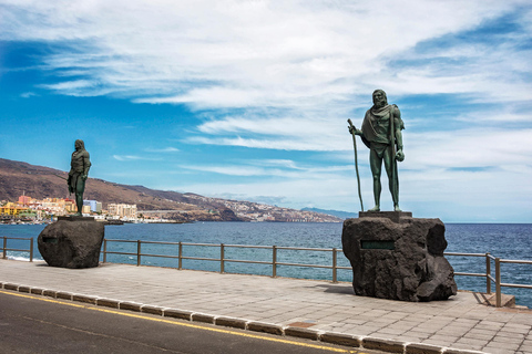 Tenerife: Vuelta completa a la isla con MascaRecorrido desde la Zona Sur