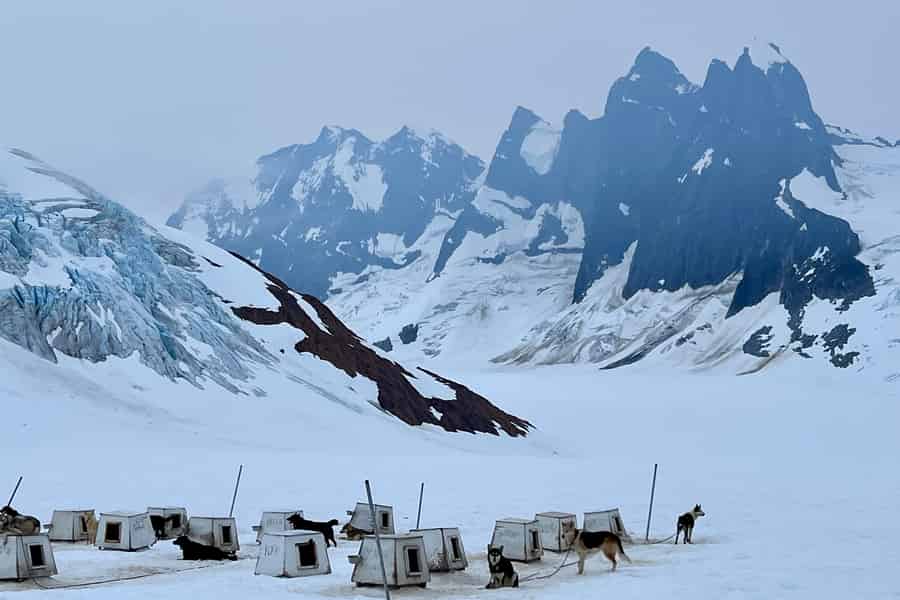 Juneau: Hubschrauber- & Hundeschlittenfahrt mit Gletscher-Landung. Foto: GetYourGuide